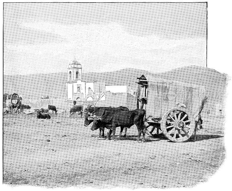 有盖牛车在墨西哥- 19世纪